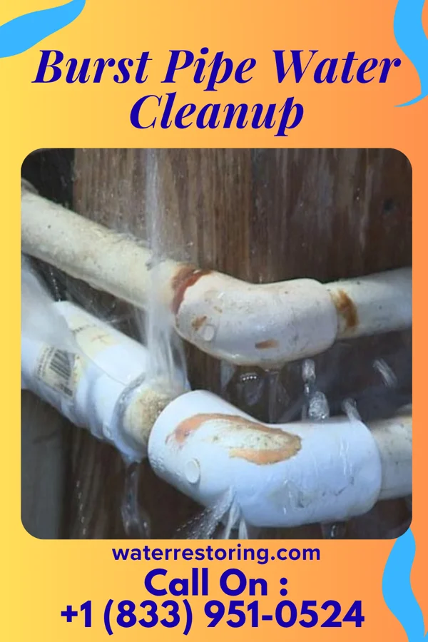 Burst Pipe Water Cleanup in Bellport, NY