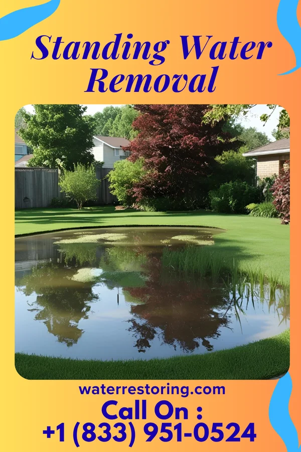 Standing Water Removal in Bellport, NY